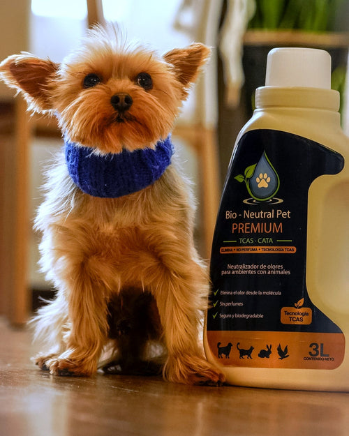 Bruno, el yorkie de Bio-Neutral Pet, junto al eliminador de olores 3 litros